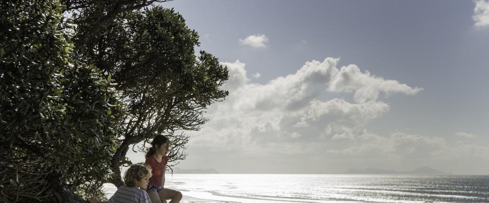 Two children sitting on a rock by a tree looking out over a beach and the ocean